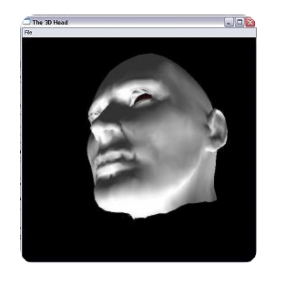 3D Head